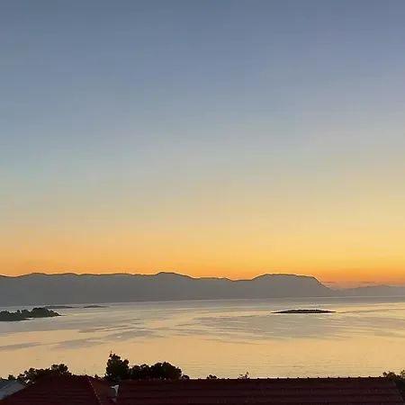 Olea * Λομπάρδα