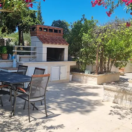 Olea * Λομπάρδα