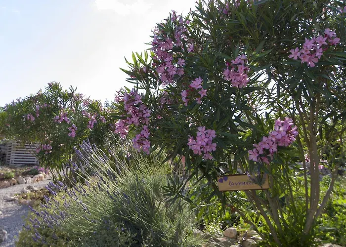 Διαμέρισμα Olea *