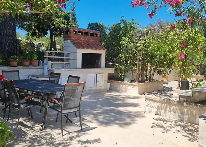 Olea * Λομπάρδα